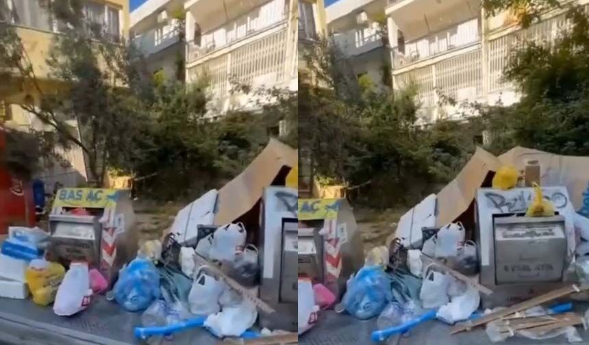 Kuşadası’nda çöp isyanı: Fareler ve domuzlar çöplere geliyor