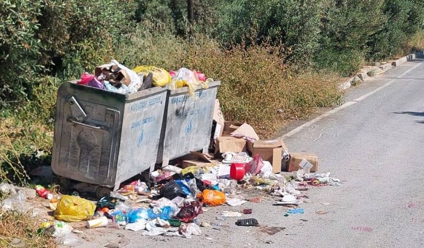 Kuşadası’nda toplanmayan çöpler vatandaşı isyan ettirdi