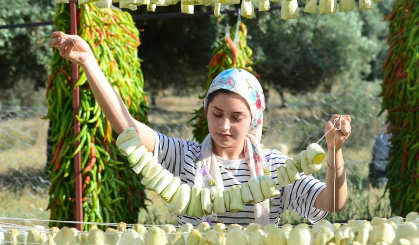 Nazilli'de kurutmalık sebze oymacılığı "bacasız fabrikaya" dönüştü