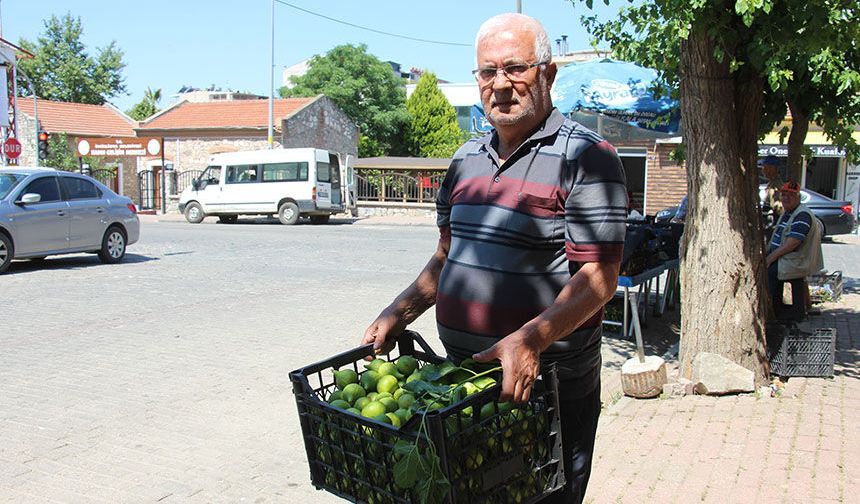 Aydın’da bu pazarda meyve değil sinek satılıyor