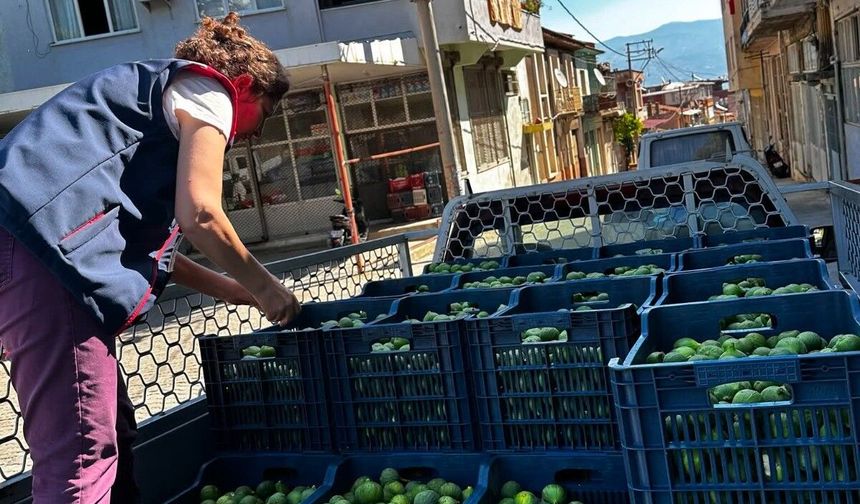 Aydın’da ekipler ilek pazarında