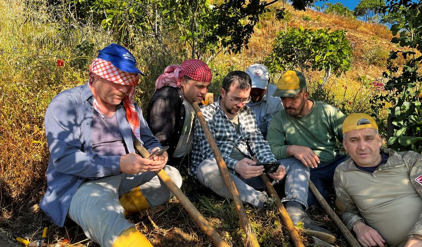 Aydın’da tarlada mesaiye milli maç arası