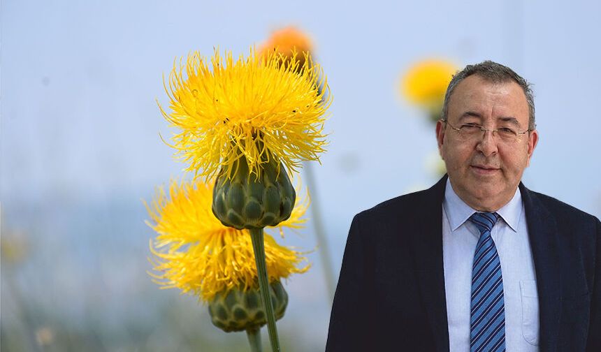 Başkan Akdoğan: Kuşadası’nın doğal mirası Tülüşah’a sahip çıkalım