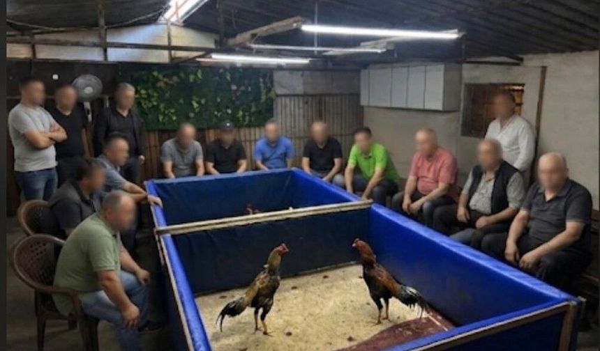 Çiftlik mühürlendi, 130 bin lira ceza kesildi