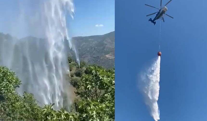 Aydın’da incir bahçesi küle döndü
