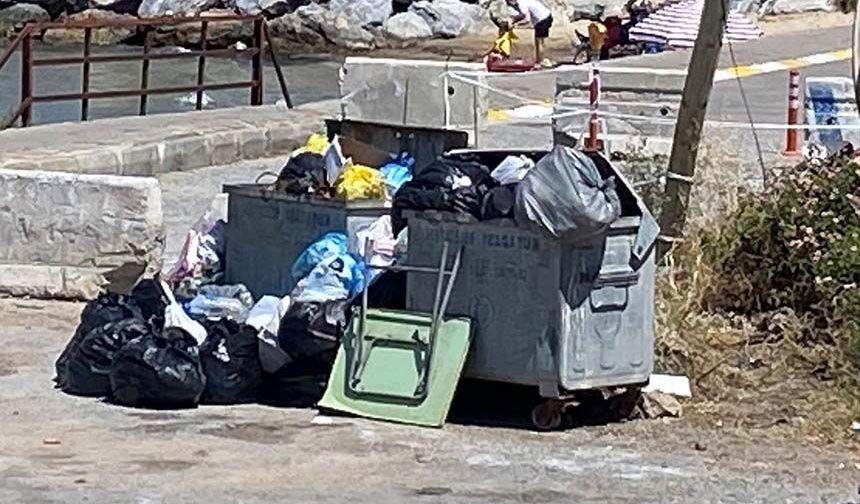 Kuşadası’nda çöpler toplanmıyor