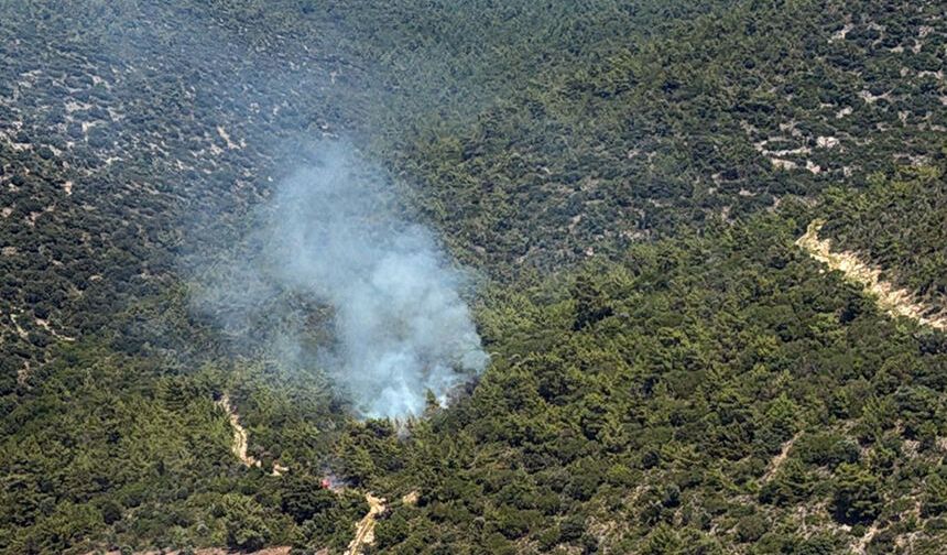Milas Kazıklı Koyu'nda yangın çıktı