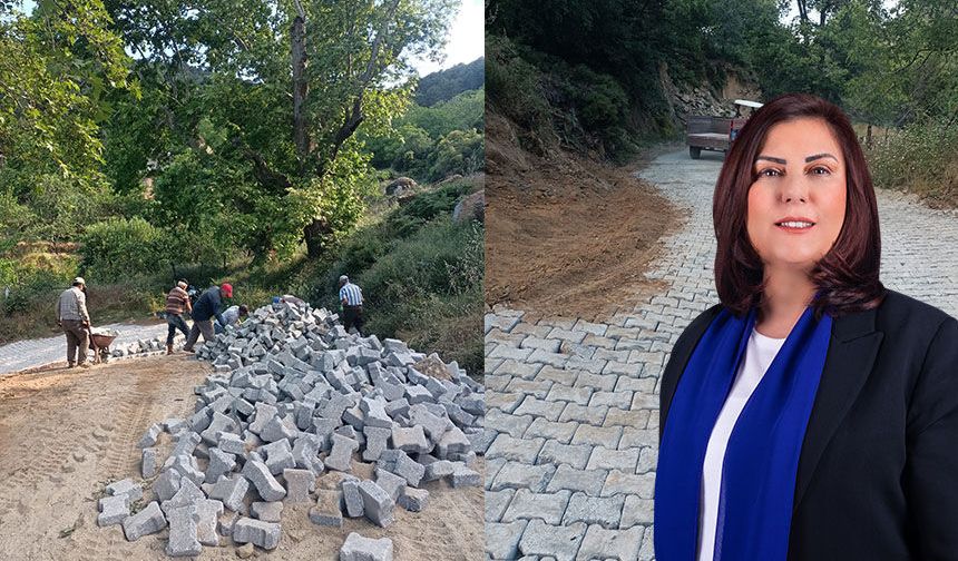 Vatandaş istedi, Özlem Çerçioğlu talimat verdi, parke taşları mahalleye ulaştı