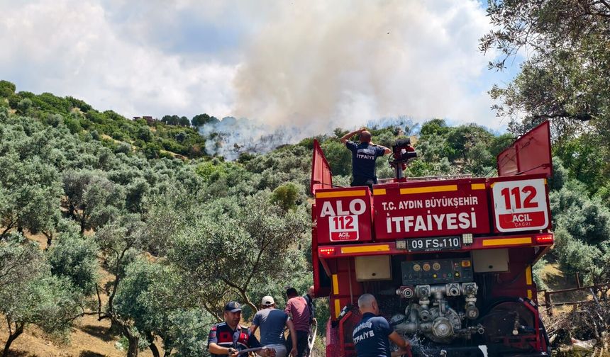 Zeytinlik alanda çıkan yangına Aydın Büyükşehir Belediyesi İtfaiyesi’nden hızlı müdahale