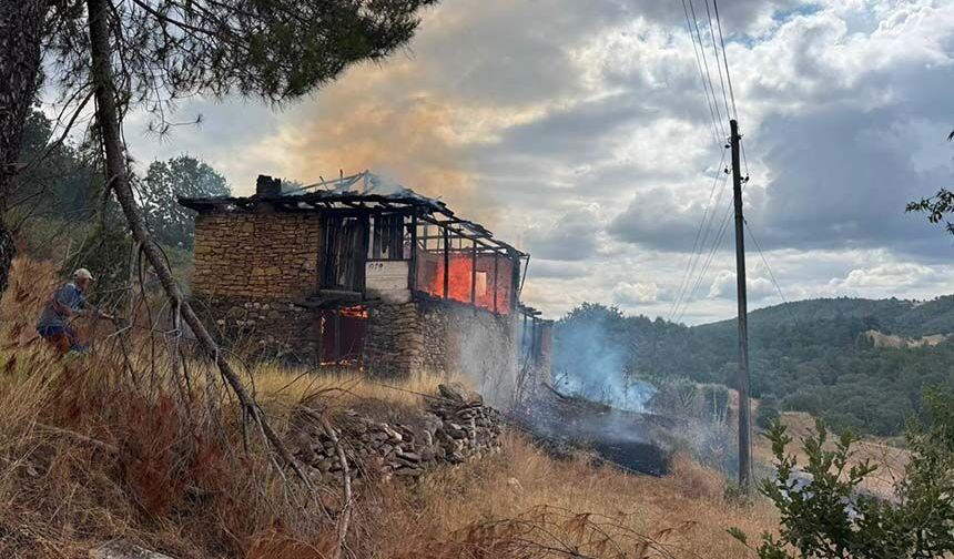 Ahırda çıkan yangın ormana sıçradı