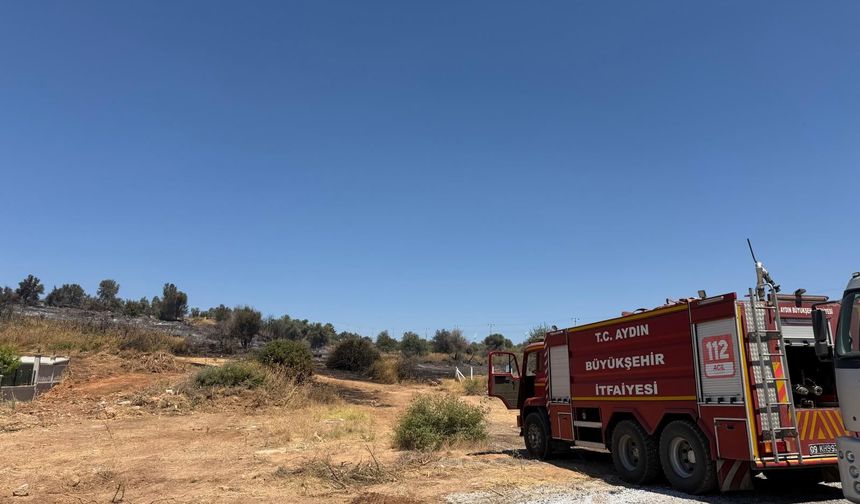 Aydın Büyükşehir ekipleri Çine’deki yangında canla başla çalışıyor