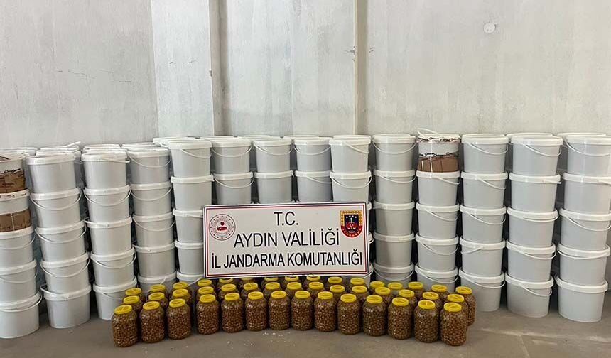 Aydın’da 4 ton salça, 300 kilo zeytin yakalandı