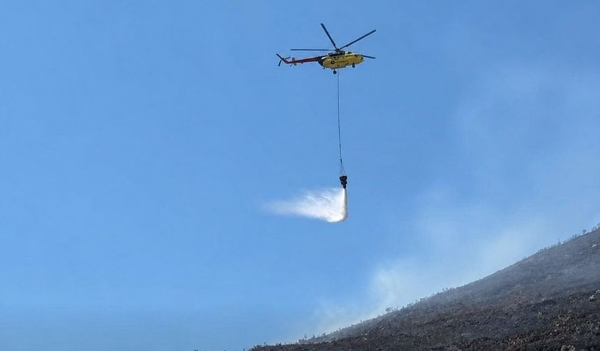 Aydın’da yangın çıktı