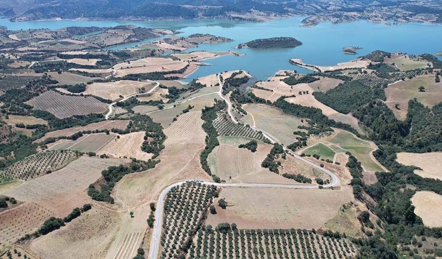 Baraj çevresi bal ormanına dönüşüyor