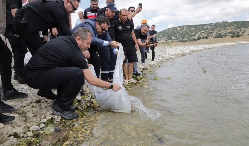 Baraj göletine 107 bin 500 balık yavrusu bırakıldı