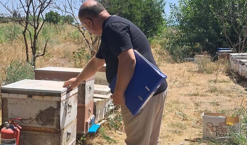 Köşk’te arılı kovanlar tespit ediliyor