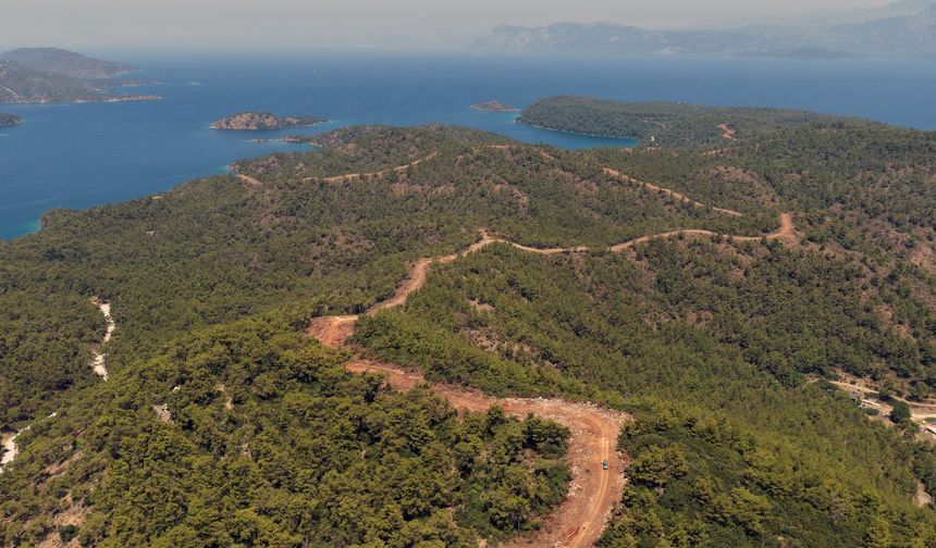 Muğla ve Aydın'da Orman yangın şerit yolu uzunluğu 2 bin kilometreye çıkıyor