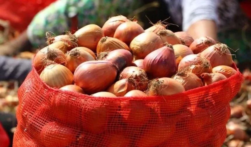 Soğan fiyatlarına müdahale.. Vergisi düşürüldü