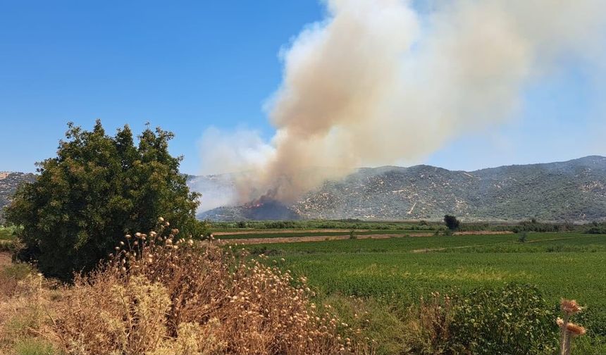 Söke’deki yangına 4 uçak, 6 helikopter ile müdahale