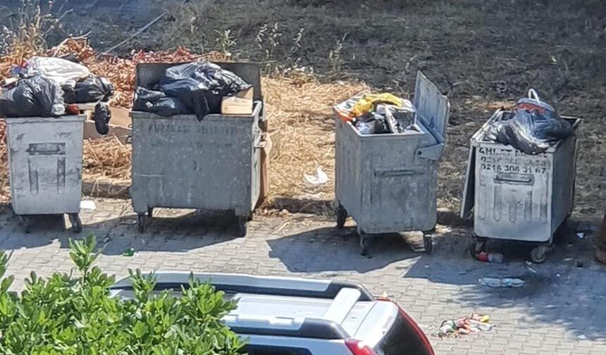 Turistler çöp dağlarını izliyor.. Kuşadası Belediyesi ilçenin imajını yerlere düşürdü