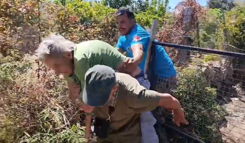 Yaşlı kadın son anda kurtarıldı, 10 hektar küle döndü