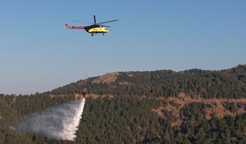 Aydın’daki orman yangını devam ediyor