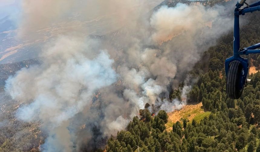 Aydın’da orman yangını çıktı, 17 hava aracı müdahale ediyor
