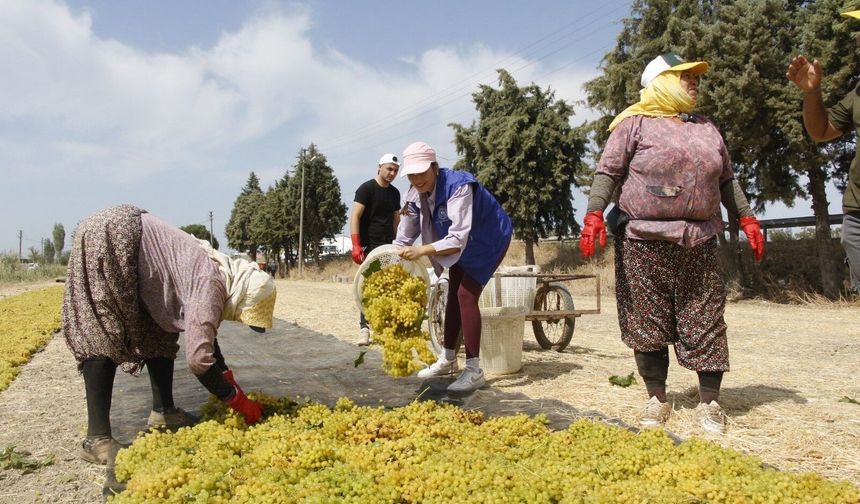 Günlük ücret 1750 TL olarak belirlendi