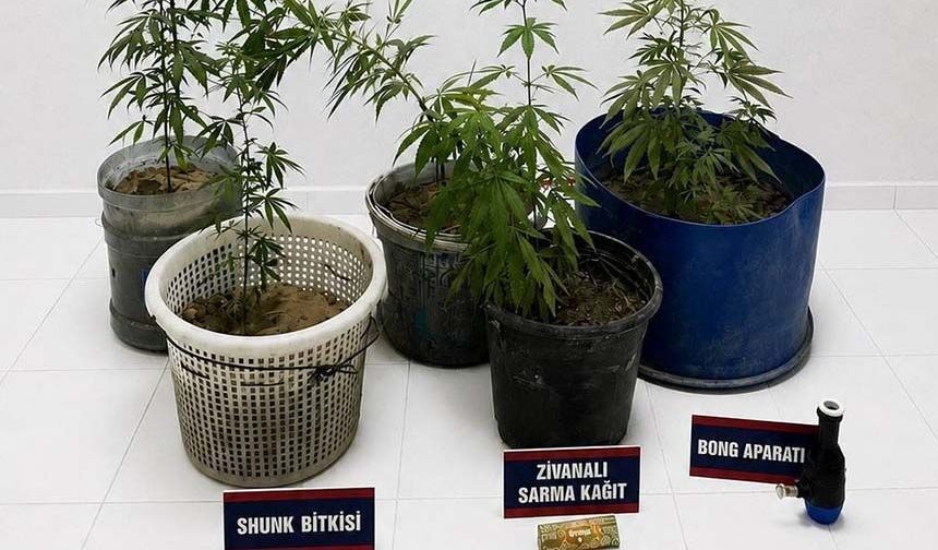 Kuşadası’nda operasyon, 3 kişi gözaltına alındı