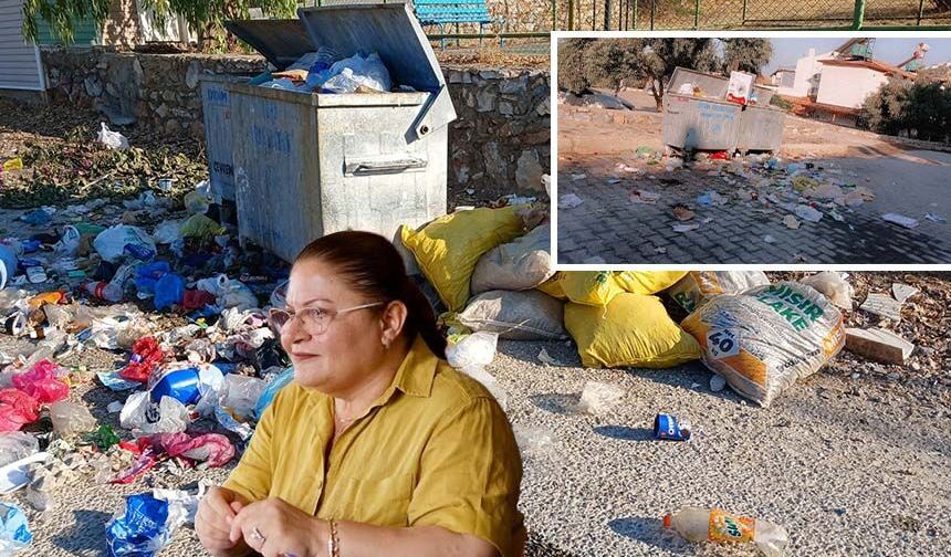 Yeni Partili Hatice Gençay’ın eseri Didim’den mide bulandıran görüntüler