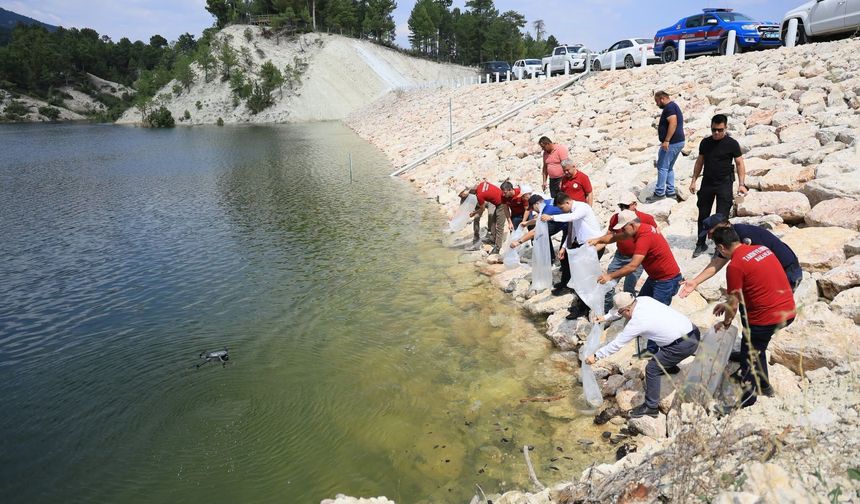 İl genelinde 1 milyon 386 bin balık bırakıldı