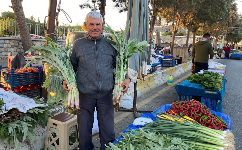 Aydın’da enginar pazar tezgahlarındaki yerini aldı