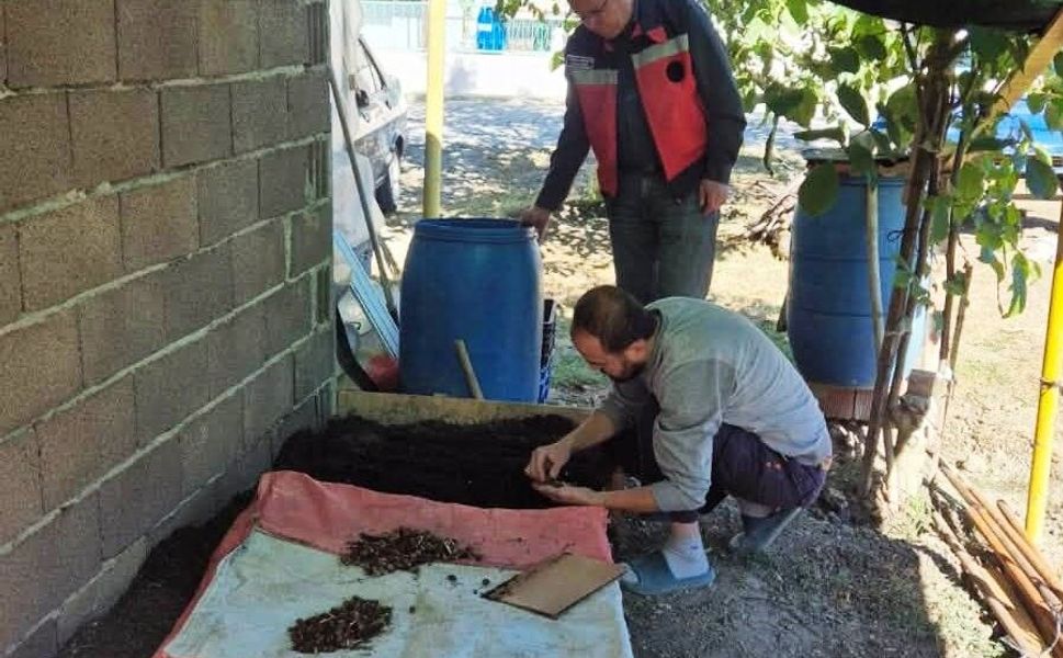 Salep üretim alanında ekim kontrolü