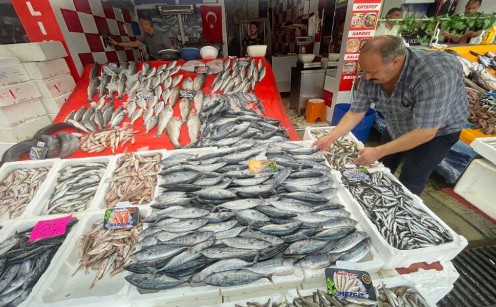 Av sezonu palamut bereketiyle açıldı