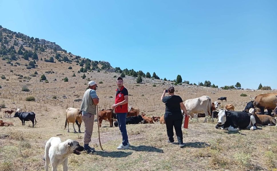 Yerli hayvan ırklarının korunması çalışmaları sürüyor