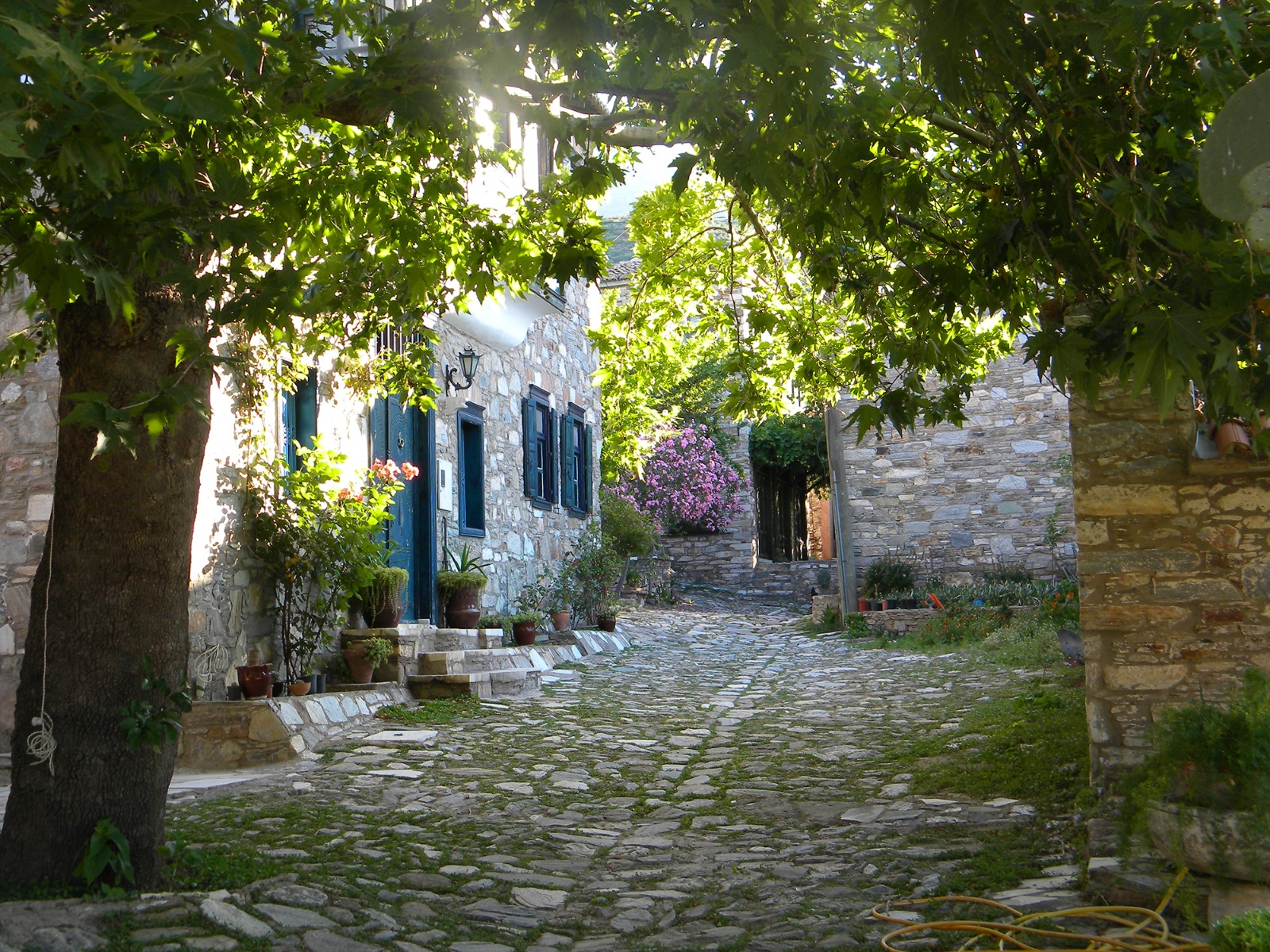 Whatsapp Image 2024 03 26 At 16.42.44 (1)