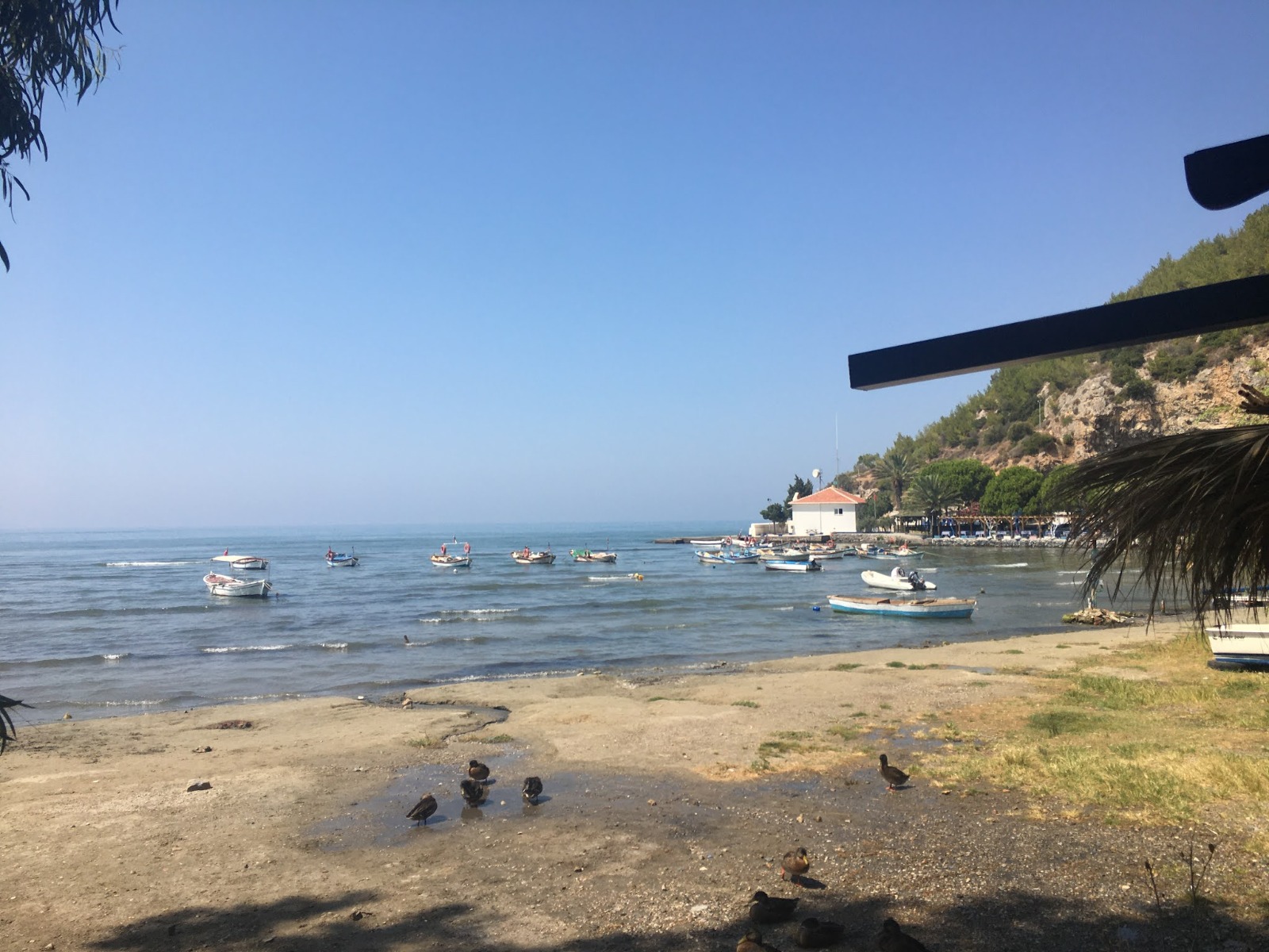 Whatsapp Image 2024 03 26 At 16.42.45 (1)