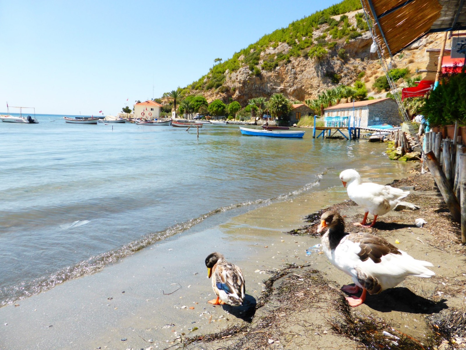 Whatsapp Image 2024 03 26 At 16.42.45 (2)