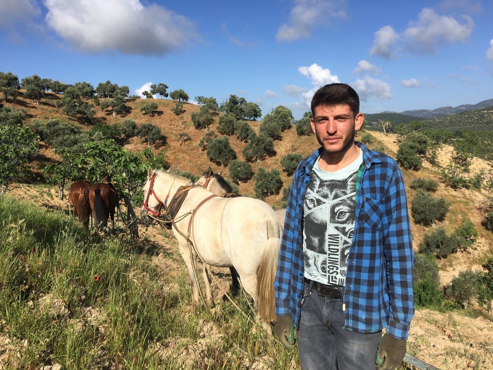 Aydın'da Bu Gençler Aylık 90 Bin Lira Maaşla Çalışıyor 5