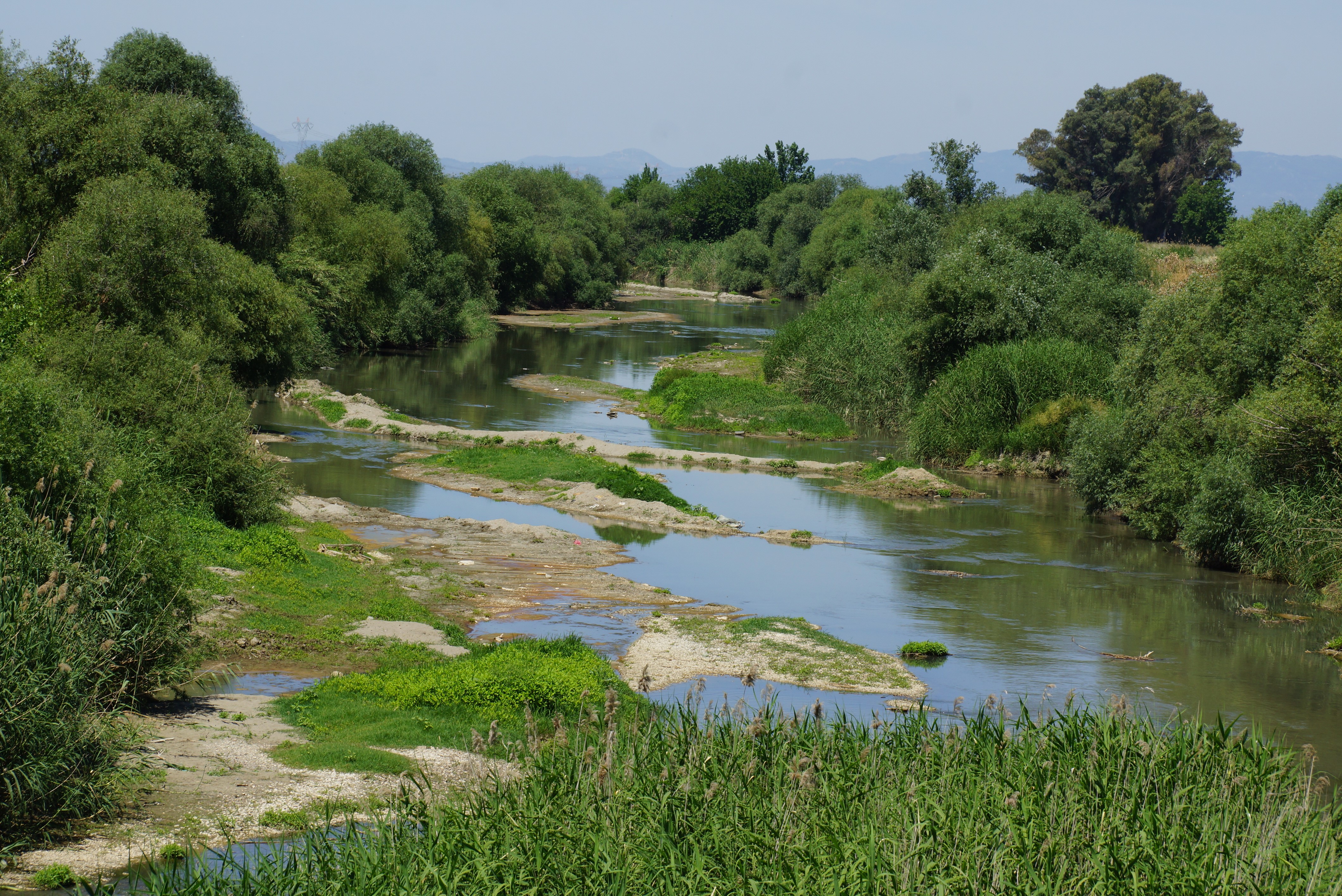 Aydın'da Menderes Nehri Kurudu 1