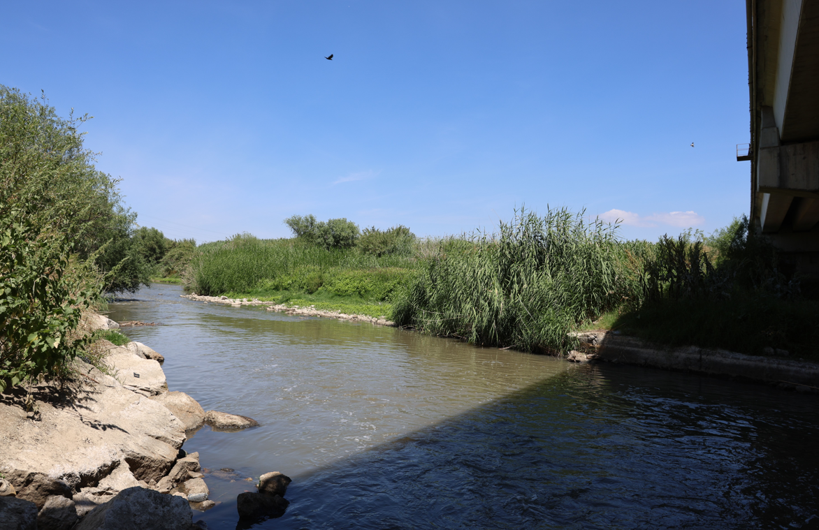 Aydın'da Menderes Nehri Kurudu 4