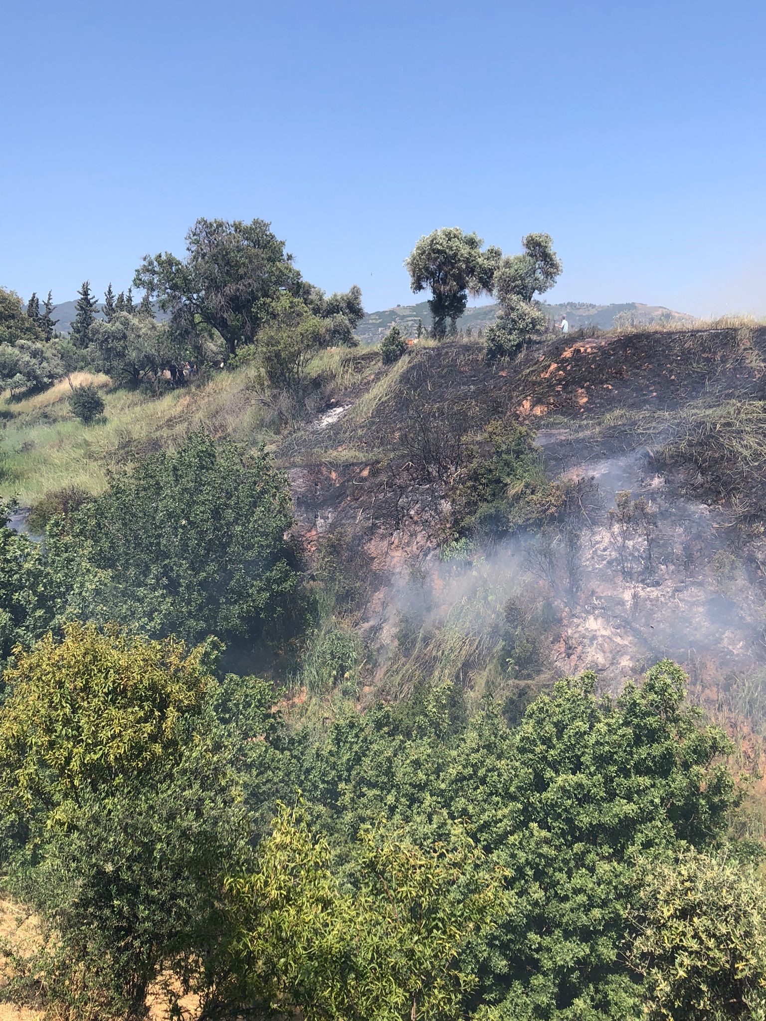 Aydın'daki Yangına Çok Sayıda Ekip Müdahale Etti1