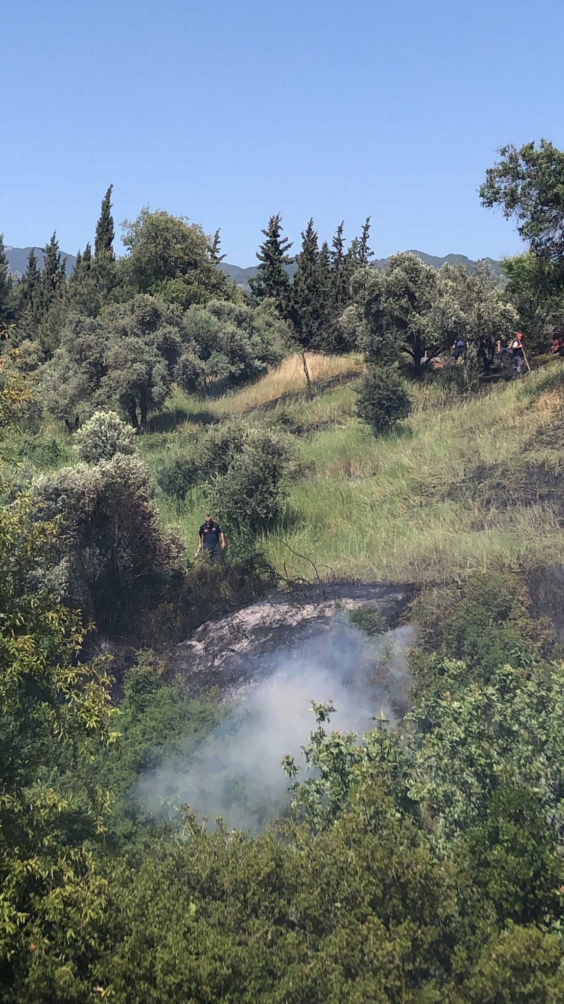 Aydın'daki Yangına Çok Sayıda Ekip Müdahale Etti5