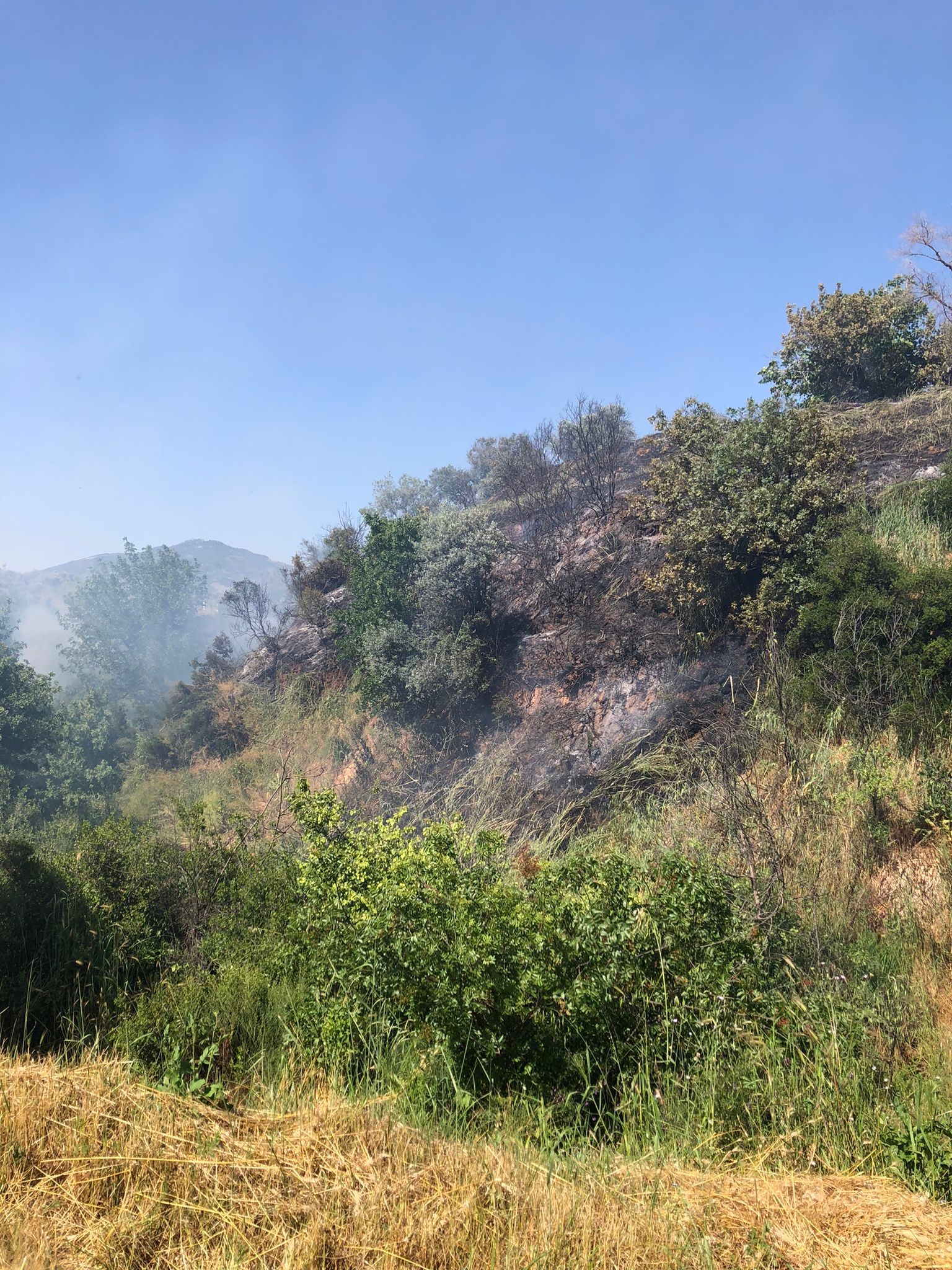 Aydın'daki Yangına Çok Sayıda Ekip Müdahale Etti6