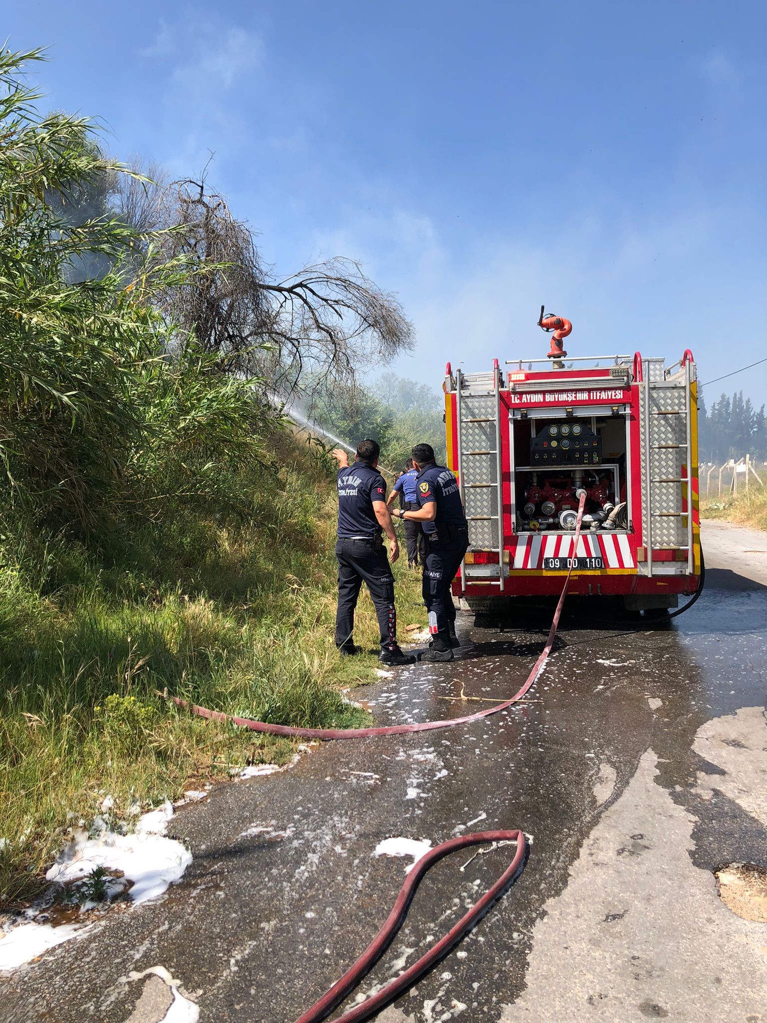 Aydın'daki Yangına Çok Sayıda Ekip Müdahale Etti8