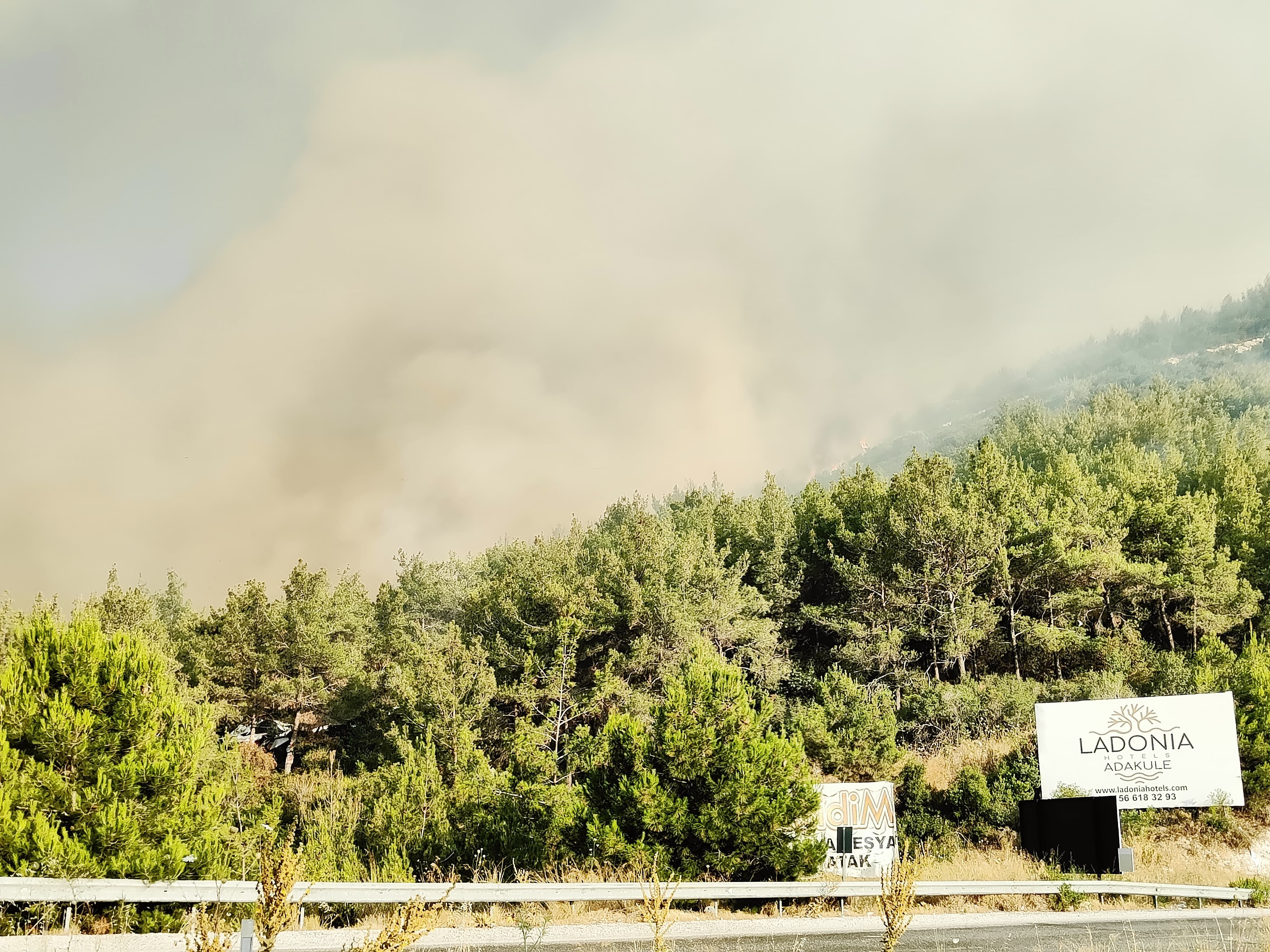 Aydın'a Sıçrayan Yangında Son Durum 2