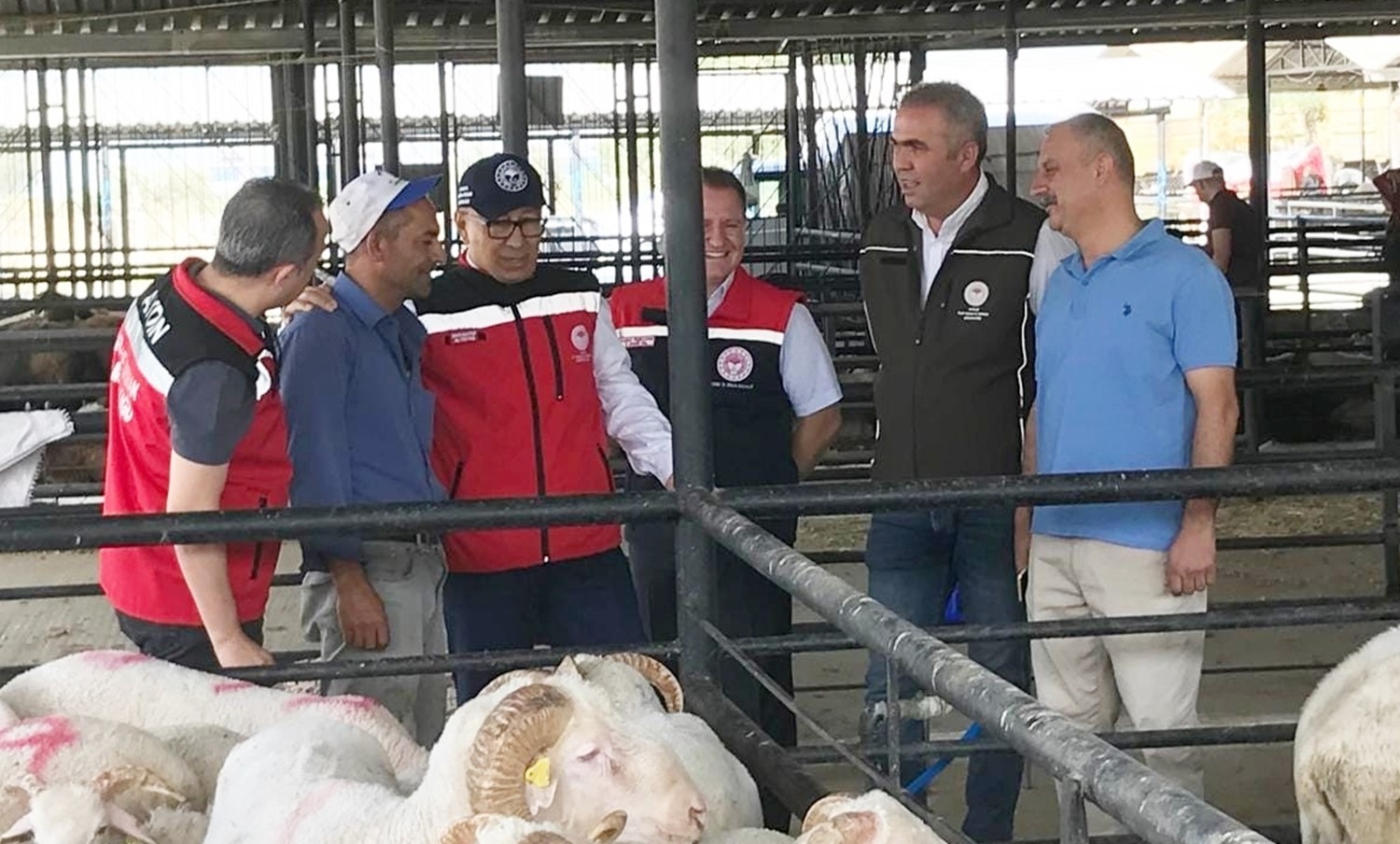 Aydın'da Kurban Satış Yerlerinde Sıkı Denetim 1