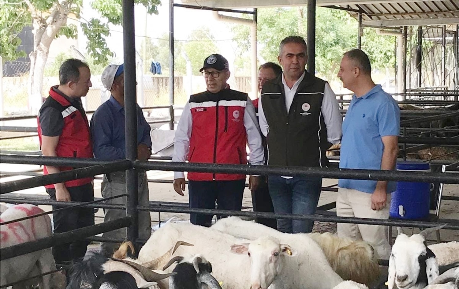 Aydın'da Kurban Satış Yerlerinde Sıkı Denetim 2