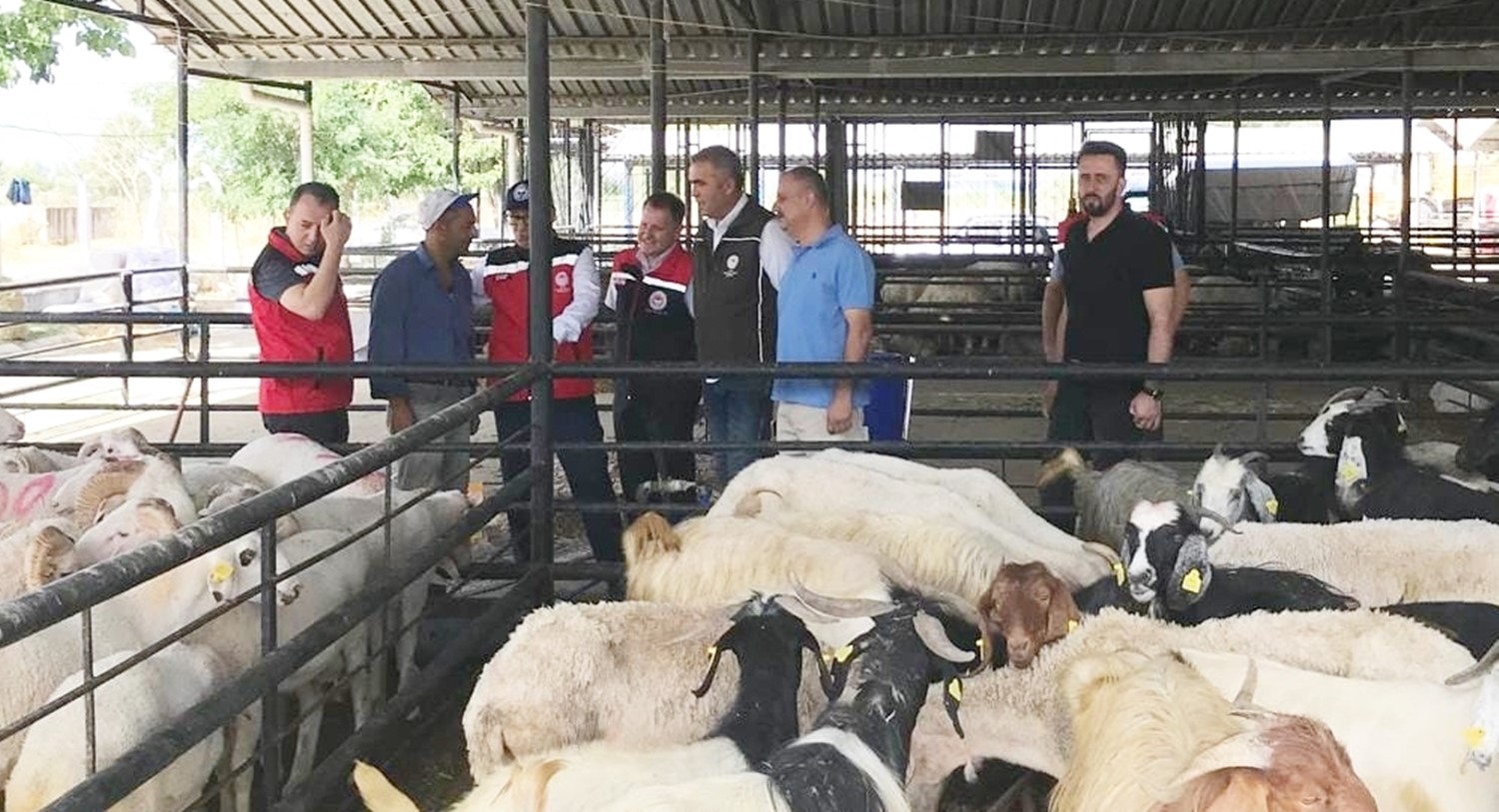 Aydın'da Kurban Satış Yerlerinde Sıkı Denetim 4