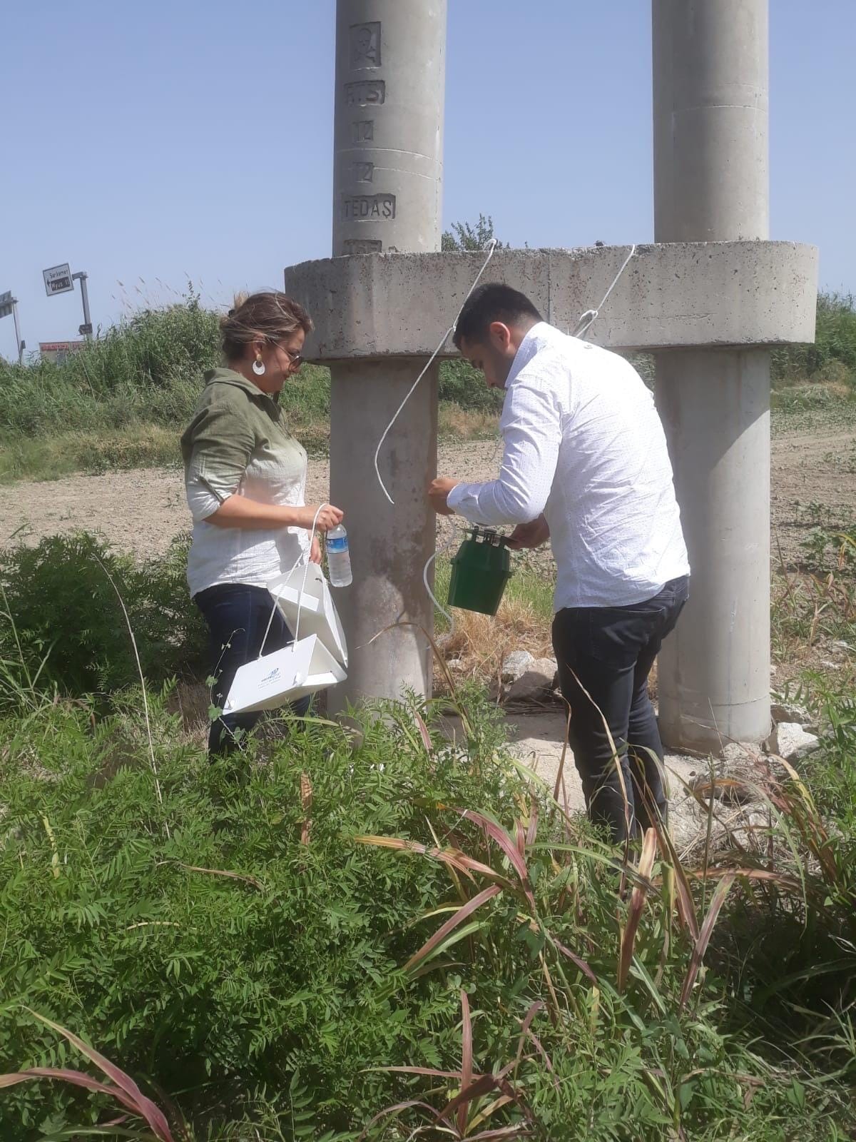 Aydın'da Pamuk Zararlıları Ile Mücadele Başladı 2